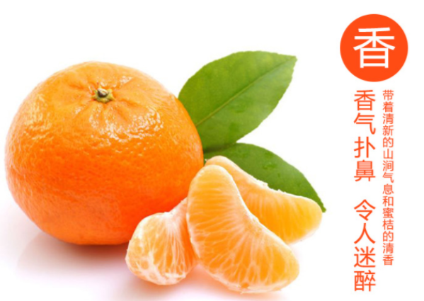 【邵陽(yáng)紅 洞口】農(nóng)家土特產(chǎn)品雪峰蜜桔