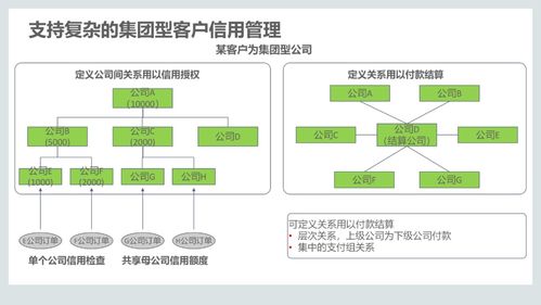 集成供應鏈管理解決方案 從110頁PPT到數據處理服務的全面解析